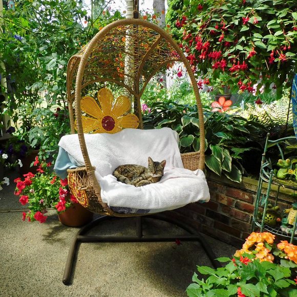 Meet your Posher, Shirley - Picture 7 of 16